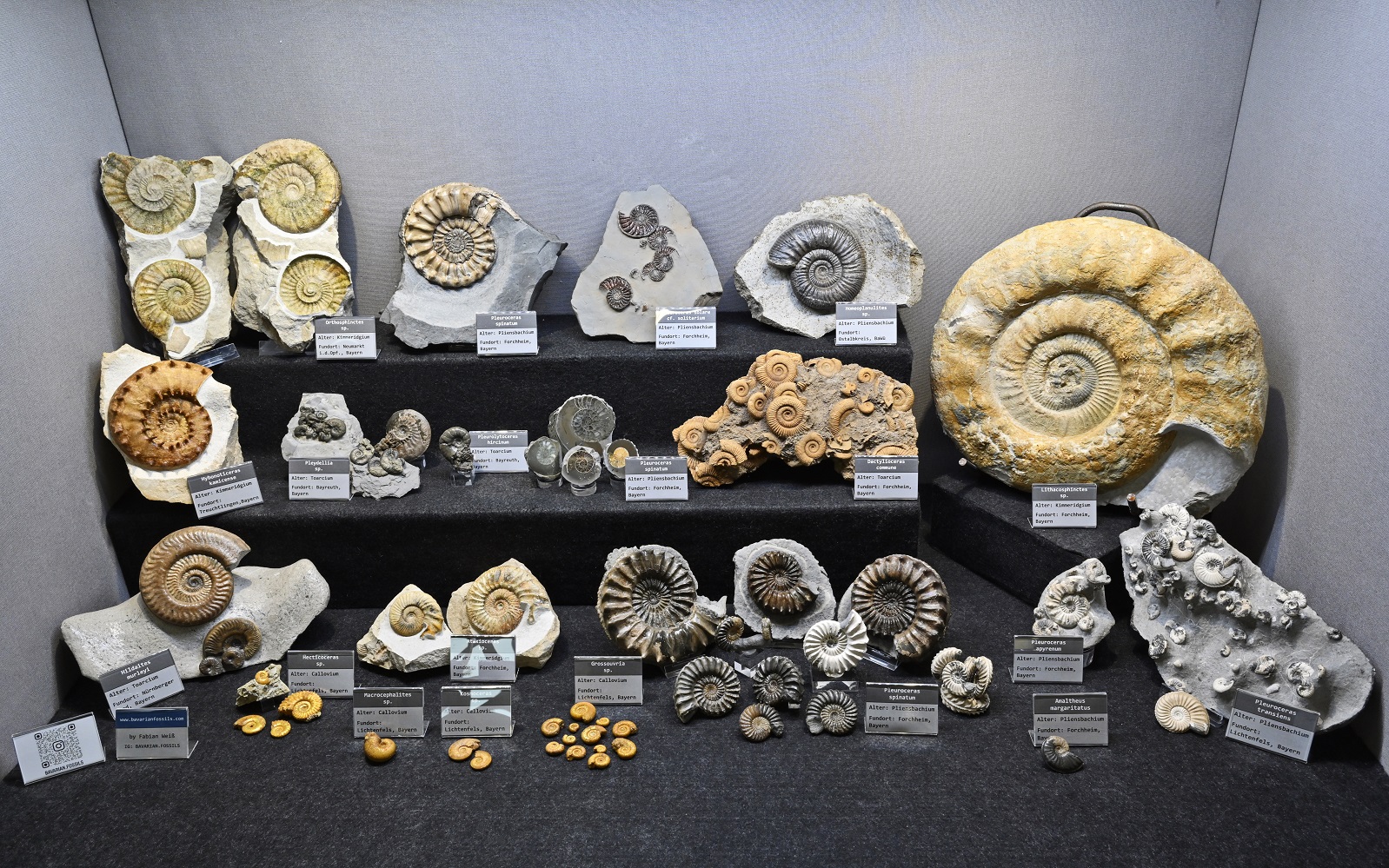 1st Place: SV36 / Fabian Weiß